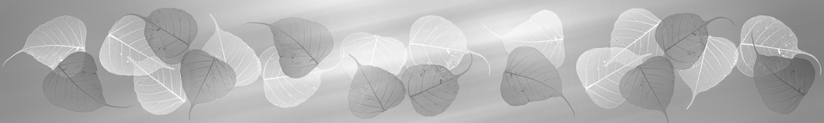 Скинали - серые листья, коллаж из листьев, Новинки -980