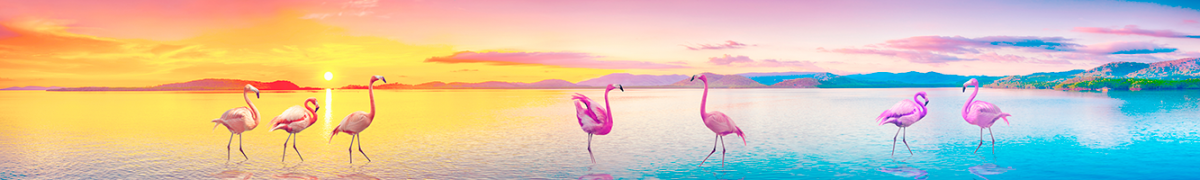 Скинали фламинго на закате озеро