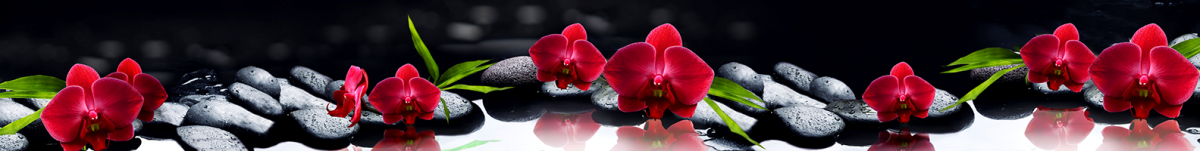 Скинали красные орхидеи и черные камни дзен