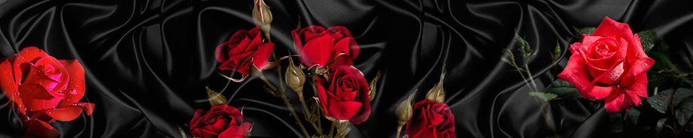 Скинали красные розы на тёмной ткани, Новинки -11